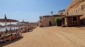 Reef Oasis Beach Resort сентябрь 2023, день на ПЛЯЖЕ