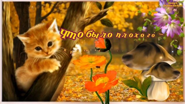 Хорошего дня! Чудесной погоды! Красивое пожелание хорошего дня! Доброго денечка, удачной недели!