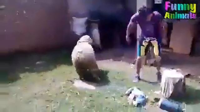 жалко и в тоже время смешно 😂 смотреть онлайн