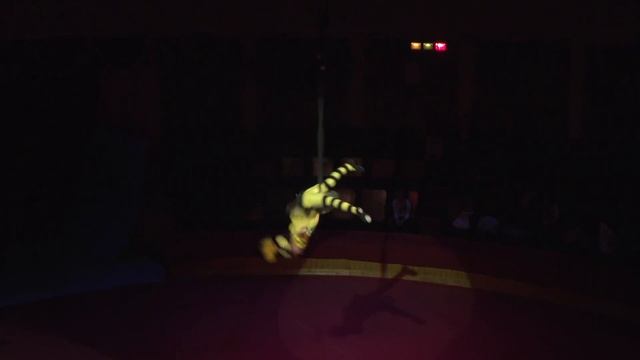 Золотое Сечение Москва 2018 лауреат 2 степени!Цирковая студия "Арена" г.Орша! смотреть онлайн