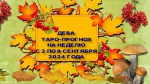 ДЕВА ТАРО-ПРОГНОЗ НА НЕДЕЛЮ С 2 ПО 8 СЕНТЯБРЯ 2024 ГОДА