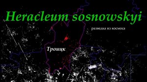 Геоинформационный сервис для борьбы с Heracleum sosnowskyi.