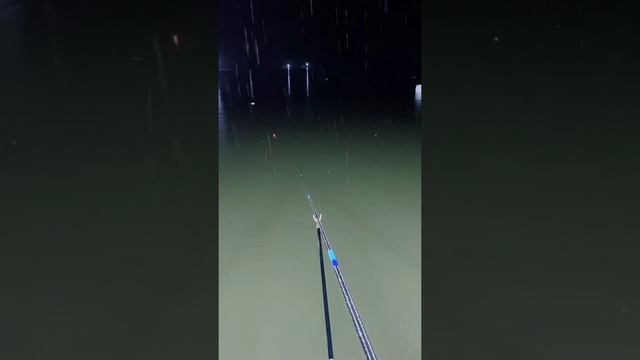 fishing videos  female fishing videos  fishing in the dark # 15