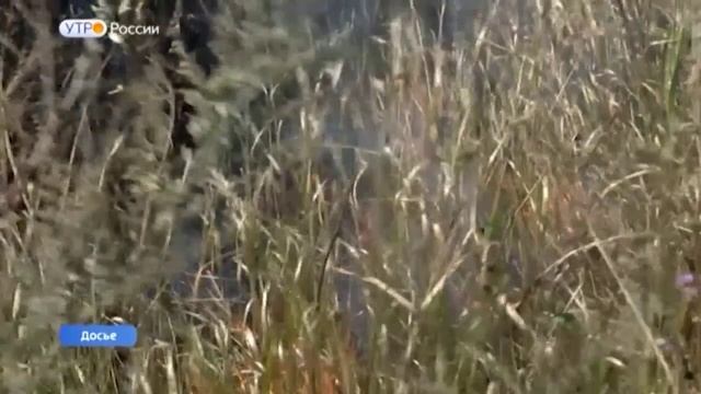 Ставропольцам рассказали, как не допустить возгорания в пожароопасный сезон