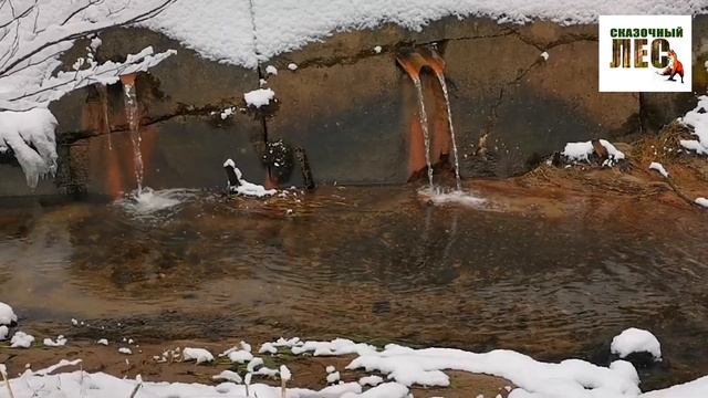 БАНЯ НА ЗНАМЕНСКОЙ/комментарии/СВЯТОЙ ИСТОЧНИК в Колюпаново/ДУХИ для души и настроения/СКАЗОЧНЫЙ ЛЕ