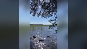 Карелия на автодоме.