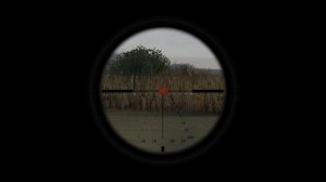 Падшие S.T.A.L.K.E.R. ОП - 2.1 Народная Солянка