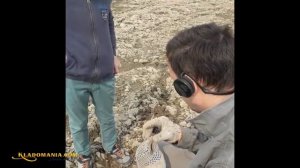 МОЯ ПРЕЛЕСТЬ!!! ЦАРСКОЕ ЗОЛОТО!!! ⚡ Открытие сезона поиска кладов. КЛАДОМАНИЯ