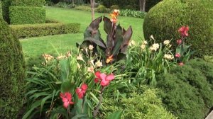 Путешествие по аллеям сада. Часть 1. Н Дементьев.