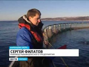 Самое северное в мире садковое хозяйство находится в Мурманской области