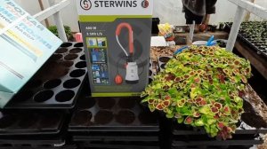 Верхний полив туман для теплиц.