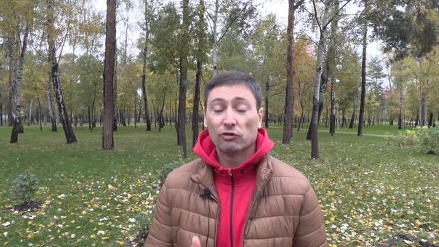 ЕСВ. 4101. Декларации почтой - момент получения. смотреть онлайн