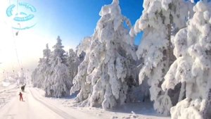 Заметает Зима