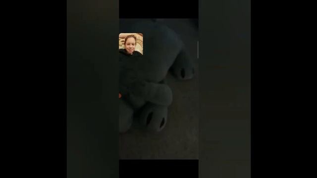 Как кошки двигают ушами часть 2 смотреть онлайн