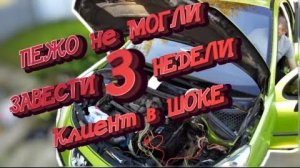 Пежо не могли завести 3 недели  Клиент в шоке