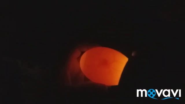 Овоскопирование гусиного яйца / просвечивание гусиного яйца