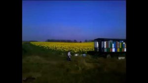 Песня про пчелок