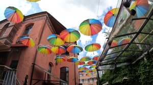 Город котов Зеленоградск