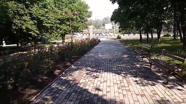 Шпиц померанский | стрижка померанского шпица | VLOG