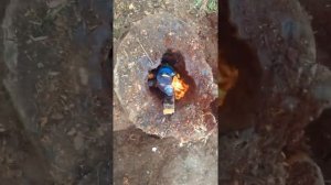 Как нельзя сжигать пень
