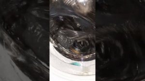 две капсулы для стирки но не запенилась