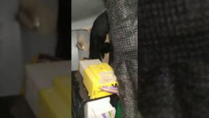 Течь салона Geely Emgrand x7 2020 NL-4.Часть 4