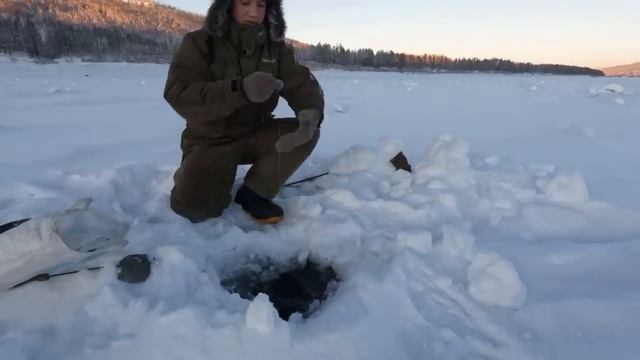 ПРОВЕРКА ПЕРЕМЁТА И УД НА НАЛИМА! ЗАБИЛИ МАШИНУ РЫБОЙ! РЫБАЛКА В ЭВЕНКИИ смотреть онлайн