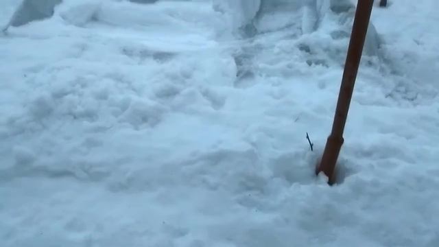 VLOG /УТРО/ЭУСТОМА/СПАСЛИ РОЗЫ/ПОГОДА. смотреть онлайн