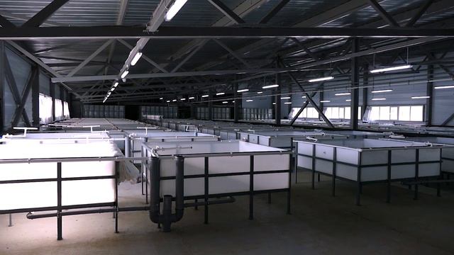 Официальное промо видео КФХ Ланге Ю.Е, смотреть онлайн