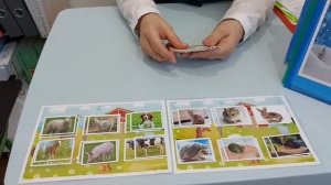 Дидактическая игра, как средство развития экологического образования детей дошкольного возраста"