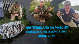 МЫ ПРИЕХАЛИ ЗА РЫБОЙ!!!! Рыбалка на озере Воже! Июль 2021!  #Fishing on Lake Vozhe