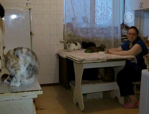Жительница Крыма приютила 55 кошек