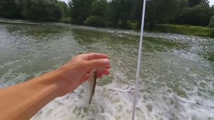 Ультралайт спиннинг для всего! Lucky John Small Game. Так ли хорош?