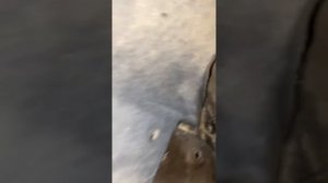 Форд фокус 2 лечим вибрацию под нагрузкой ШАЙБЫ проставки ДАЛЬШЕ БЕЗ ВИБРАЦИИ FORD FOCUS 2
