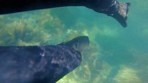 Бухта Ежовая. Приморский край/Primorsky Krai. Ejovaya bay