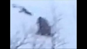 Снежный человек пойман на камеру