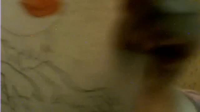 Видео с веб-камеры. Дата: 4 декабря 2012 г., 16:21. смотреть онлайн