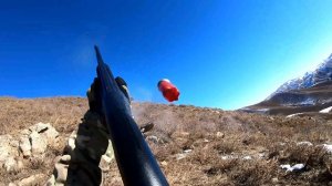 Охота на кеклика в Кыргызстане 2023. Кыргызстандагы кеклик аңчылык. Chukar hunting.