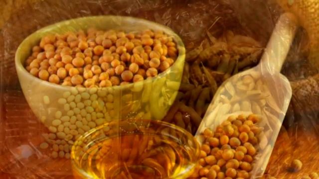 СОЯ ПОЛЬЗА И ВРЕД | гмо соя в россии, полезна ли соя для человека, соя мясо, соя вред для мужчин