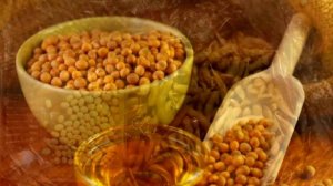 СОЯ ПОЛЬЗА И ВРЕД | гмо соя в россии, полезна ли соя для человека,  соя мясо,  соя вред для мужчин