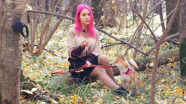 КАКОВО CЪЕХАТЬ ОТ РОДИТЕЛЕЙ? смотреть онлайн