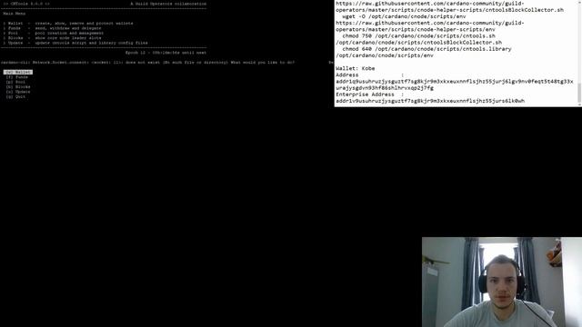 Building a Cardano Stake Pool using CNTools (Shelley Mainnet Candidate) смотреть онлайн