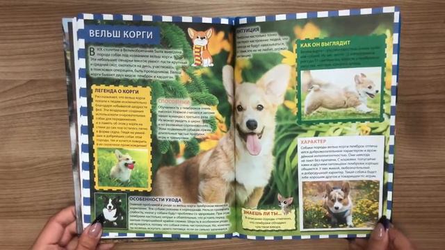 Собаки и щенки. Популярная детская энциклопедия смотреть онлайн