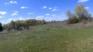 Корова в хозяйстве...Ответы на вопросы