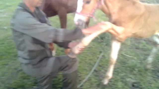 человек сходит с ума смотреть онлайн