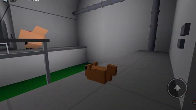 готовим бургеры нашли лабораторию!?