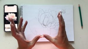 Рисуем пион карандашом