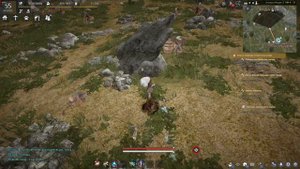 Black Desert Молодой Камнекраб