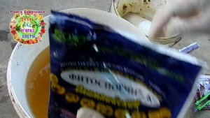 Мои секреты посадки рассады клубники в кашпо для получения очень раннего урожая ягод. Супер удобр..