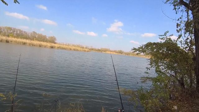 Перезалив: Осенняя рыбалка 2021. Река Кочеты. Рыбалка в Краснодарском крае.